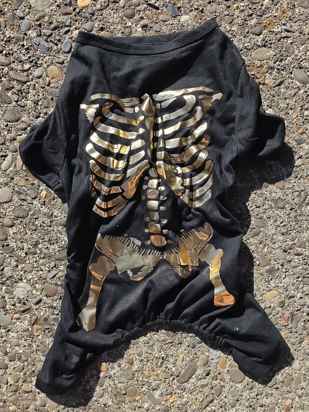 Black Dog Skeleton Shirt with Metallic Gold Print